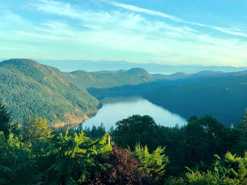 Janie Chandler Real Estate