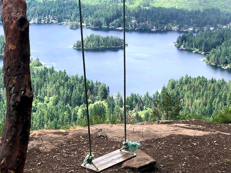 Janie Chandler Real Estate